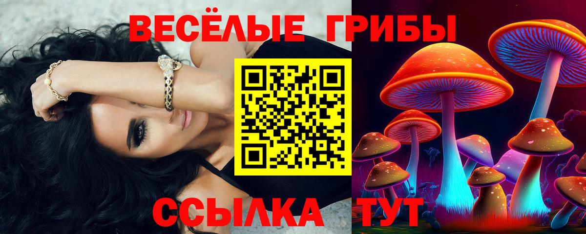Галлюциногенные грибы Psilocybine cubensis Южноуральск