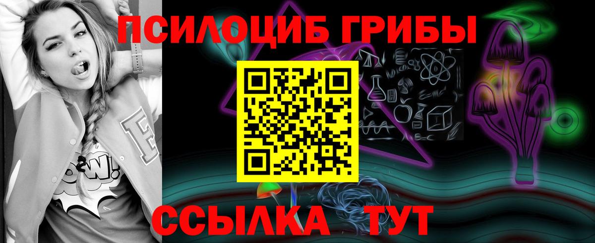 купить закладку  Вход с VPN  Южноуральск  Псилоцибиновые грибы Psilocybine cubensis  Псилоцибиновые грибы мицелий 